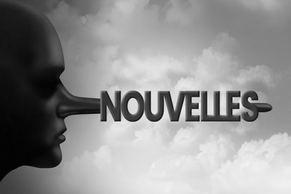 la desinformation sur internet