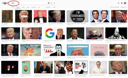 IDIOT-Google-Bomb
